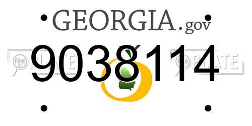 9038114 Georgia License Plate