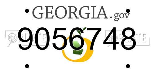 9056748 Georgia License Plate
