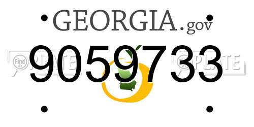 9059733 Georgia License Plate