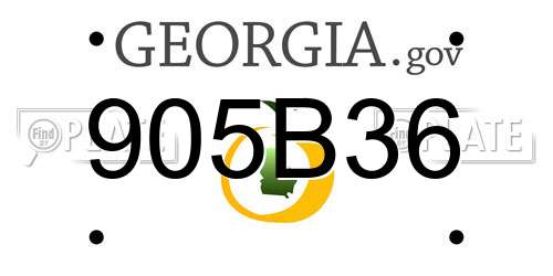 905B36 Georgia License Plate