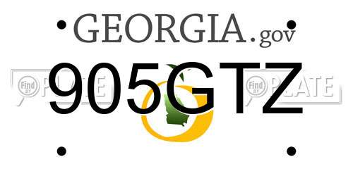905GTZ Georgia License Plate