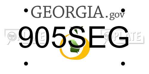 905SEG Georgia License Plate