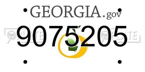 9075205 Georgia License Plate