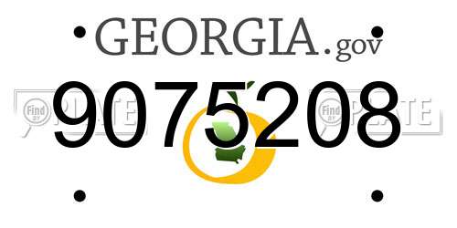 9075208 Georgia License Plate