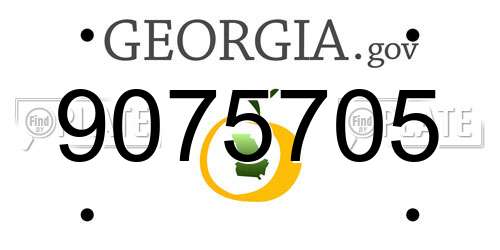 9075705 Georgia License Plate