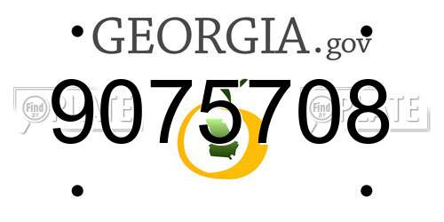 9075708 Georgia License Plate