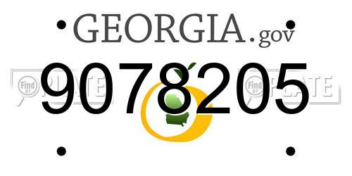 9078205 Georgia License Plate