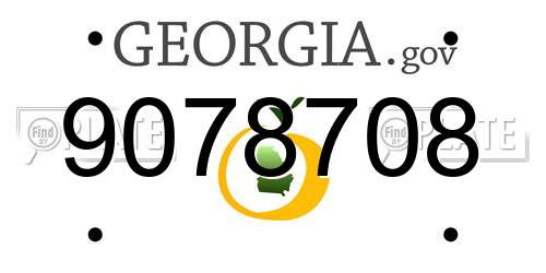 9078708 Georgia License Plate
