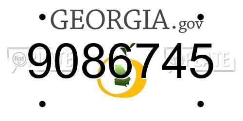 9086745 Georgia License Plate