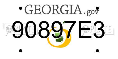90897E3 Georgia License Plate
