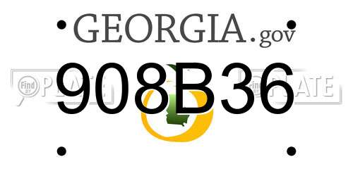 908B36 Georgia License Plate
