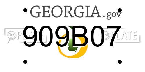 909B07 Georgia License Plate