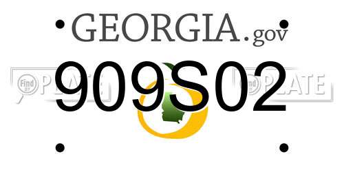 909S02 Georgia License Plate