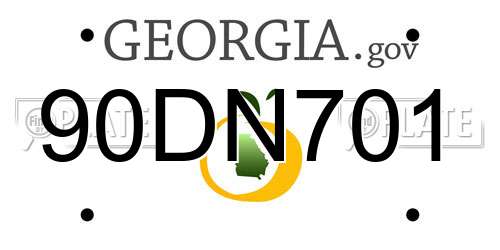 90DN701 Georgia License Plate