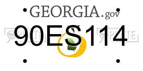 90ES114 Georgia License Plate