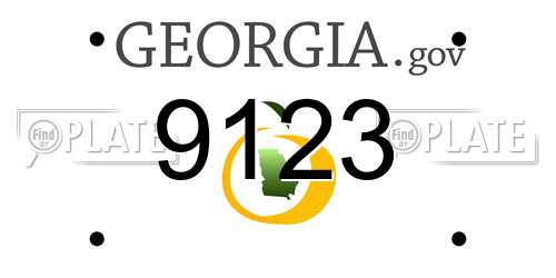9123 Georgia License Plate