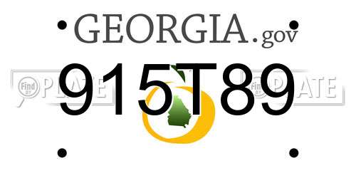 915T89 Georgia License Plate