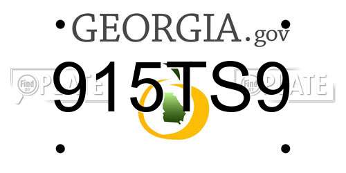 915TS9 Georgia License Plate