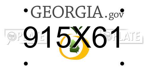 915X61 Georgia License Plate
