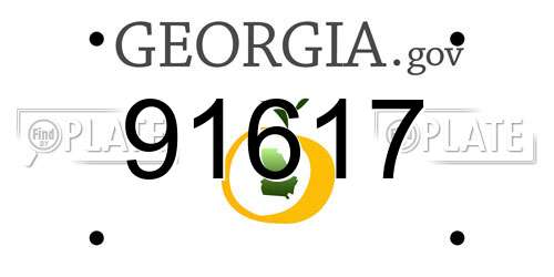 91617 Georgia License Plate