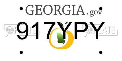 917YPY Georgia License Plate