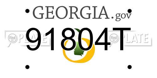 91804T Georgia License Plate