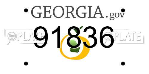91836 Georgia License Plate