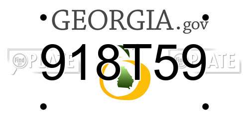 918T59 Georgia License Plate