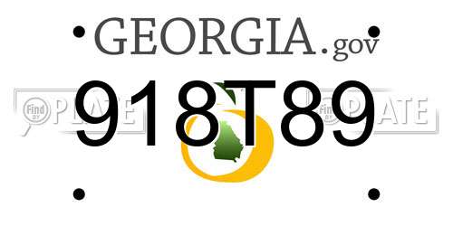 918T89 Georgia License Plate