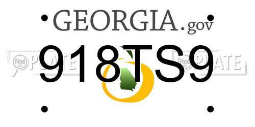 918TS9 Georgia License Plate