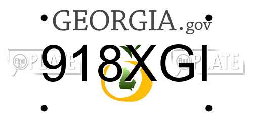 918XGI Georgia License Plate