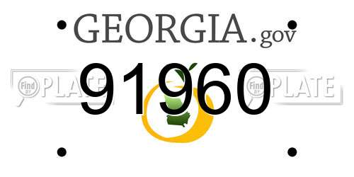 91960 Georgia License Plate