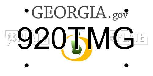 920TMG Georgia License Plate