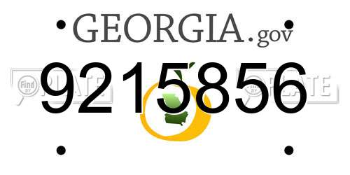 9215856 Georgia License Plate