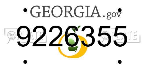 9226355 Georgia License Plate