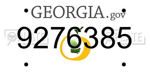 9276385 Georgia License Plate