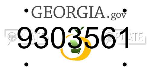 9303561 Georgia License Plate
