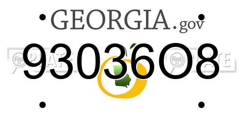 93036O8 Georgia License Plate