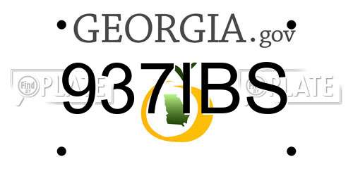 937IBS Georgia License Plate