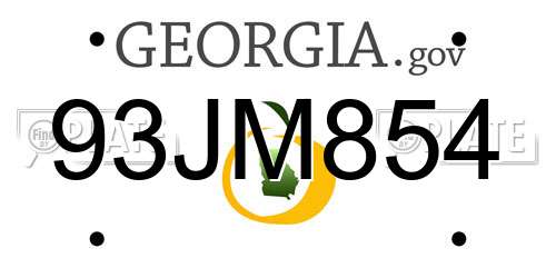 93JM854 Georgia License Plate