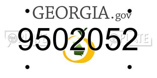 9502052 Georgia License Plate