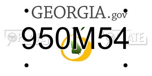 950M54 Georgia License Plate