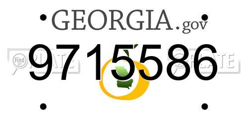 9715586 Georgia License Plate