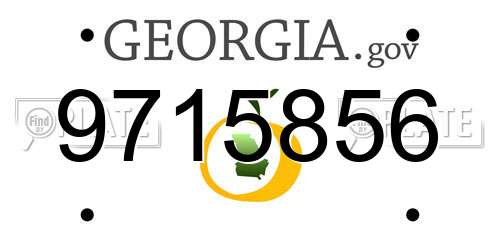9715856 Georgia License Plate