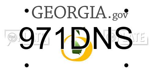 971DNS Georgia License Plate