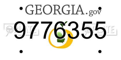 9776355 Georgia License Plate