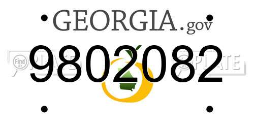 9802082 Georgia License Plate