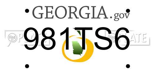 981TS6 Georgia License Plate