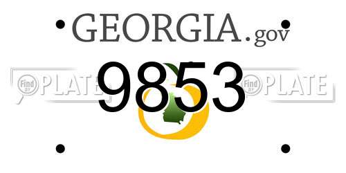 9853 Georgia License Plate