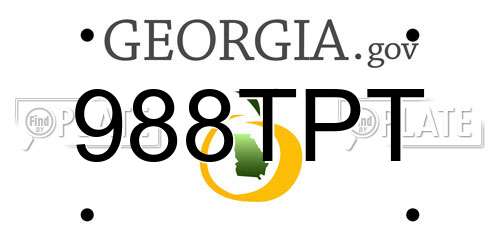 988TPT Georgia License Plate